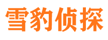 肥城捉小三公司